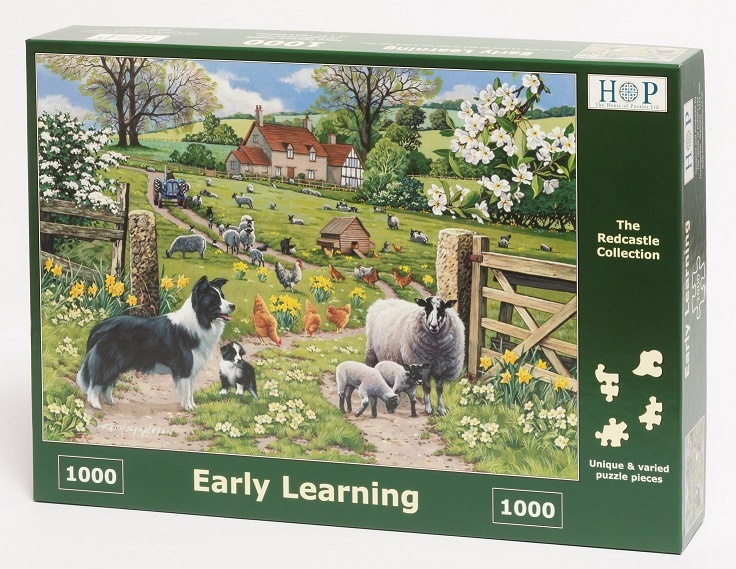 Early Learning Puzzel 1000 stukjes Top Merken Winkel